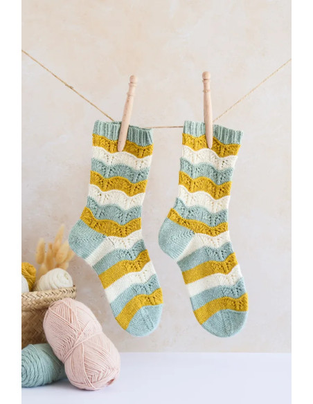 Livre guide expert chaussettes au tricot