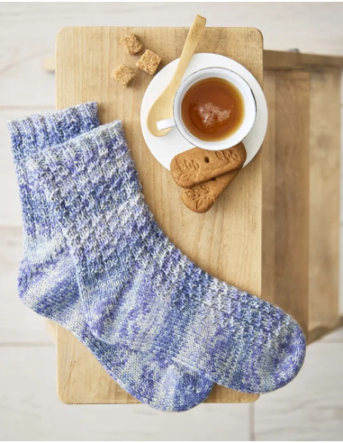 Livre guide expert chaussettes au tricot