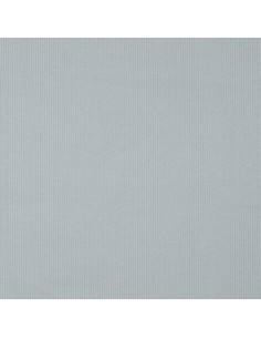 Tissu jersey coton maille fine côtelé - Gris argent 2