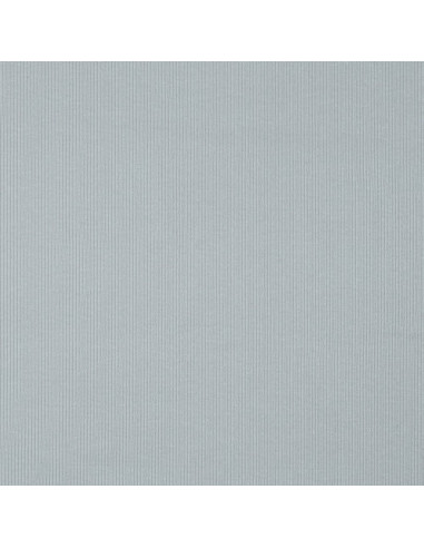 Tissu jersey coton maille fine côtelé - Gris argent