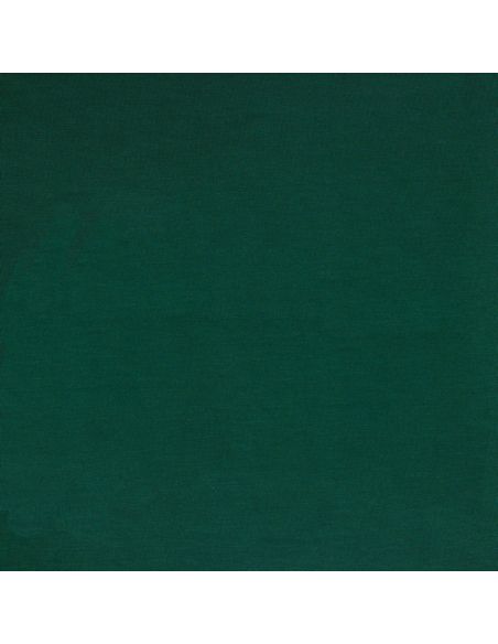 Tissu jersey tencel modal - Vert