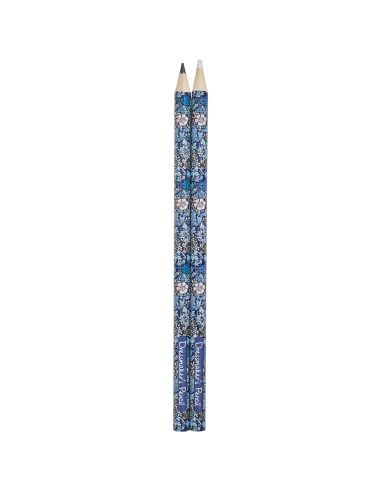 Crayon craie noir et blanc - Collection fleurs bleues