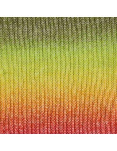 Laine Scheepjes Stone Washed Flow