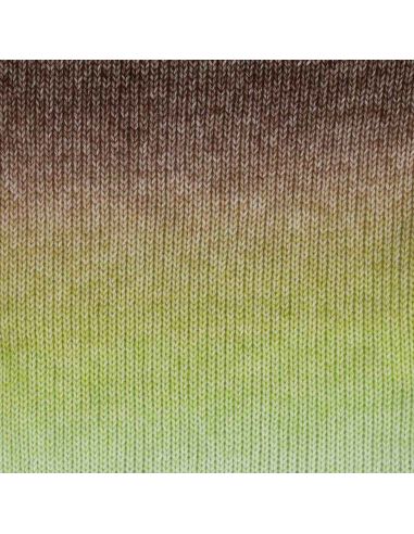 Laine Scheepjes Stone Washed Flow