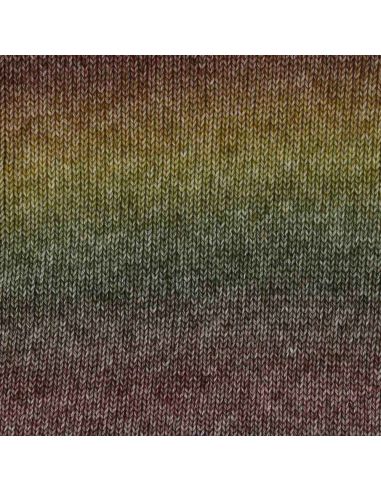 Laine Scheepjes Stone Washed Flow