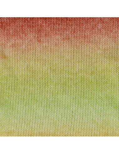 Laine Scheepjes Stone Washed Flow