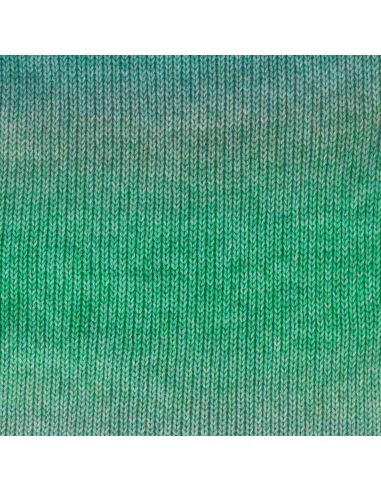 Laine Scheepjes Stone Washed Flow