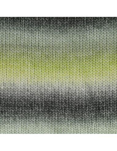 Laine Scheepjes Stone Washed Flow XL