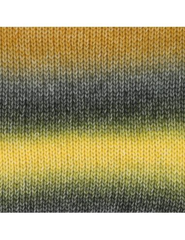 Laine Scheepjes Stone Washed Flow XL