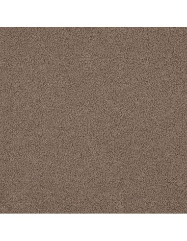 Tissu polaire Teddy double face - Taupe
